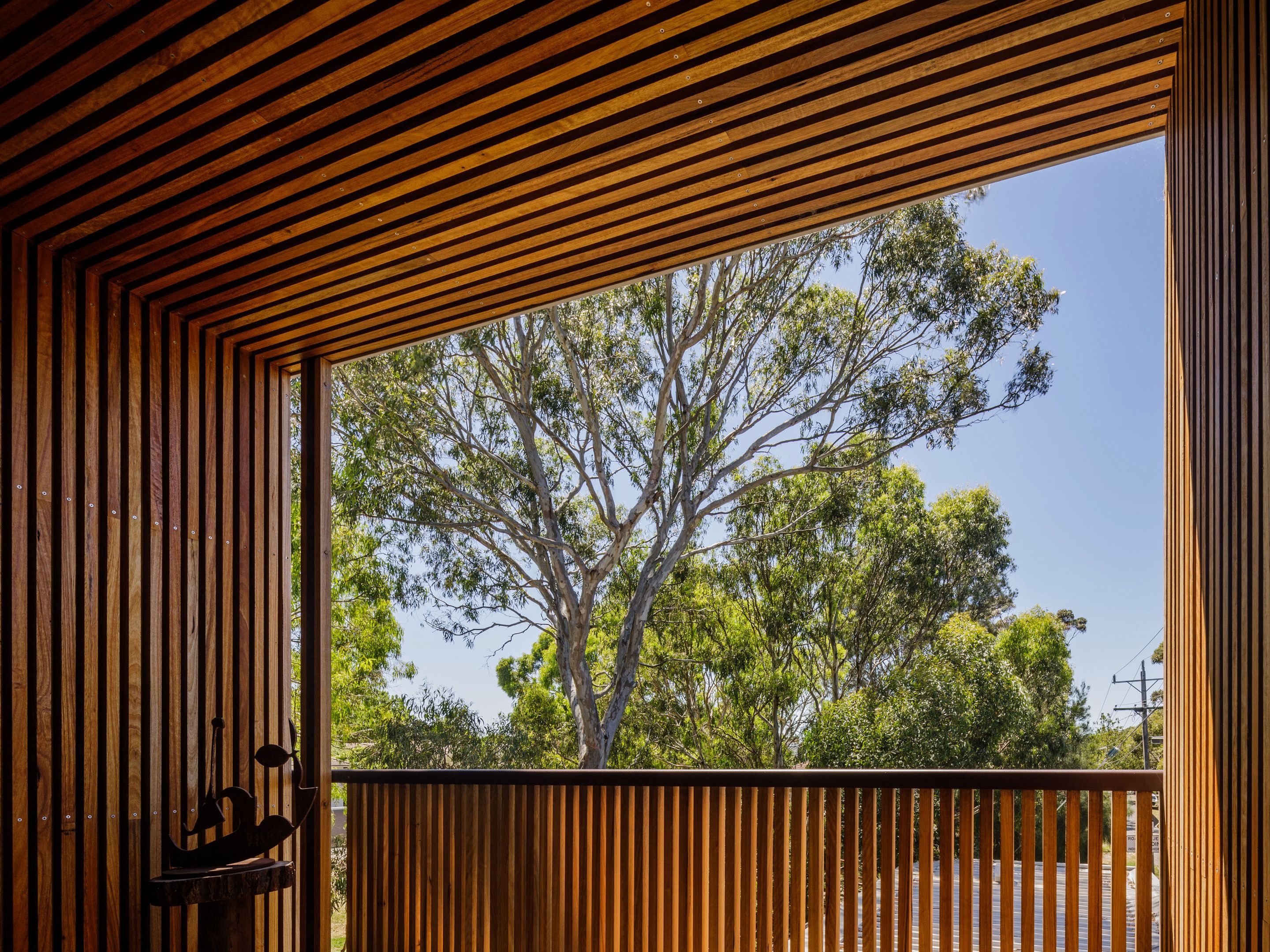 Timber-lined opening framing a gum tree from an upstairs balcony